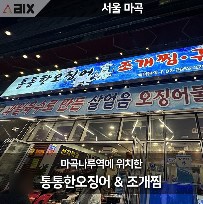  [마곡나루 오징어 맛집] 통통한 오징어 조개찜구이에서 즐기는 신선한 해산물과 오징어회