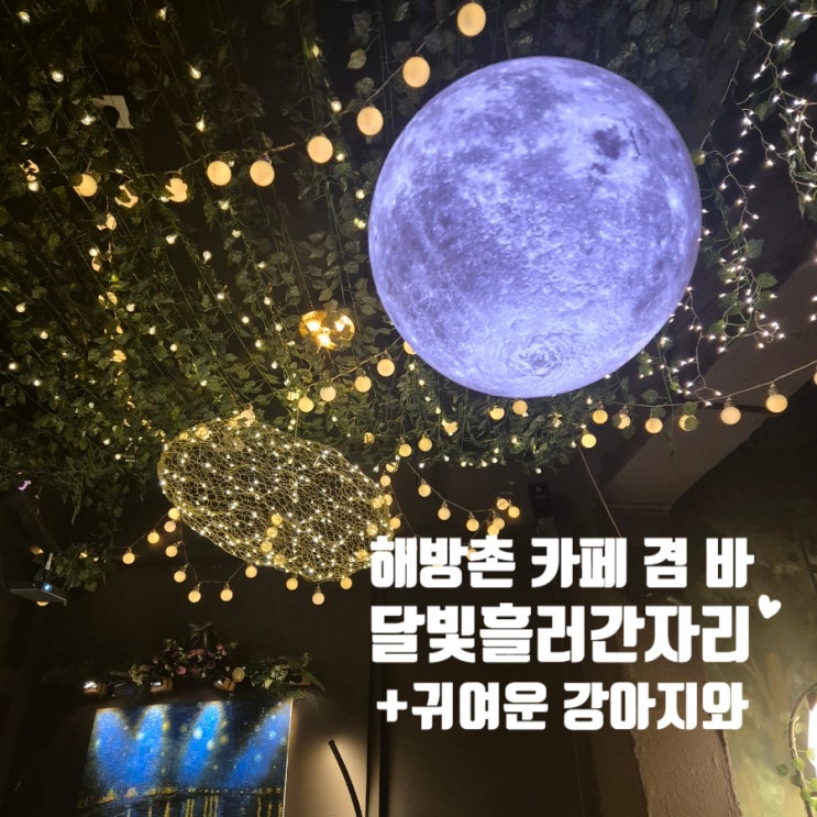  이태원 해방촌 강아지가 있는 카페술집 달빛 흘러간 자리 24시간 신흥시장