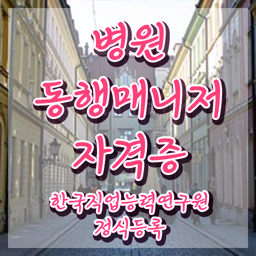  , 병원동행사 온라인으로 실무경력 없어도 간편하게 준비한 전략