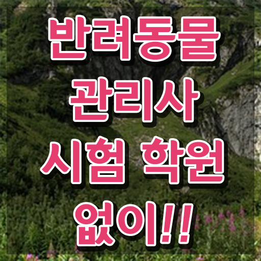  대전반려동물의료비지원 , 반려동물관리사 자격증 직장인도 쉽게 합격한 전략 확인해봅시다