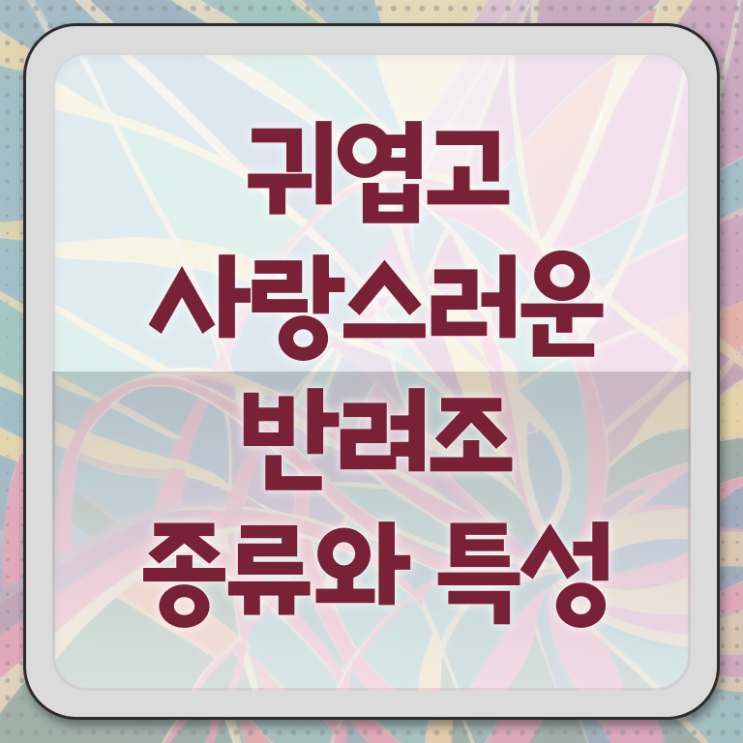  앵무새 키우기 , 반려조관리사 자격증 학습한 후기 정리했어요
