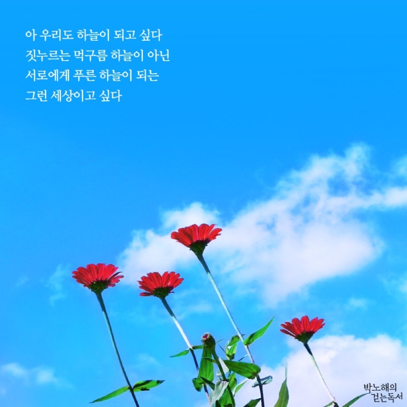 인생 명언을 재미있게 보내세요