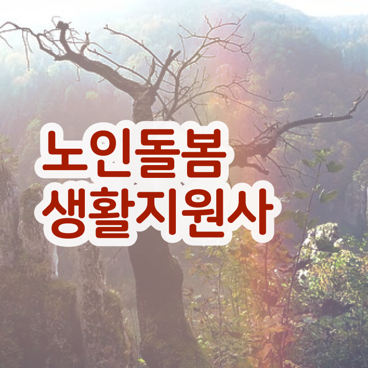  생활지원사 모집 , 노인돌봄생활지원사 2주 만에 취득한 노하우