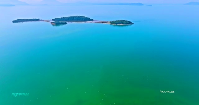  당신의 운명을 읽는 사주 공부 첫걸음 , 심리상담사 자격증 비용없이 온라인으로 합격정보 핵심 정보