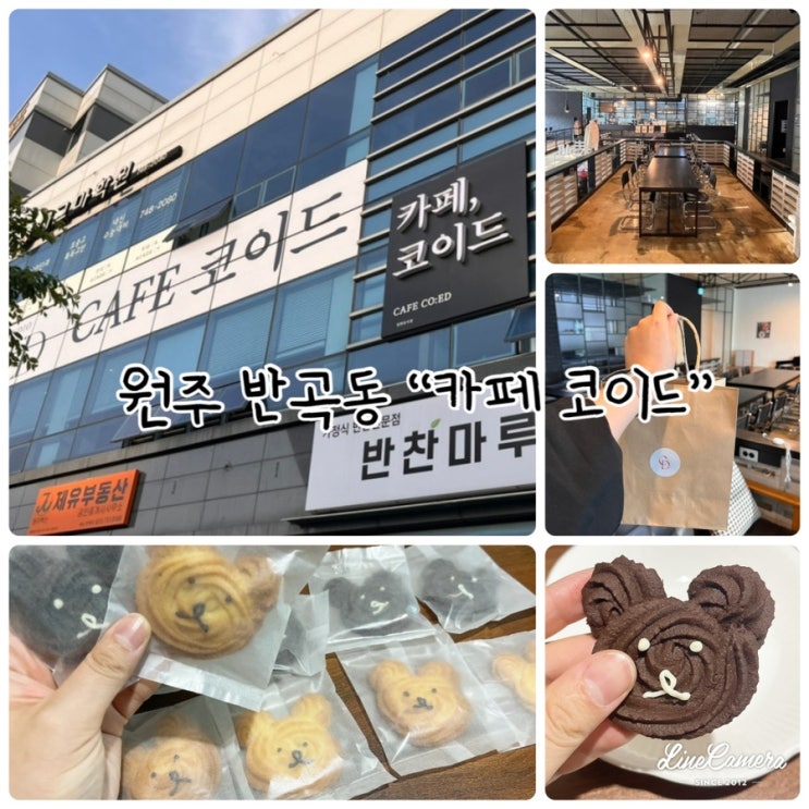  70평 규모로 쾌적하고 넓은 카페로 원주 쿠키 맛집인 반곡동 "카페 코이드"