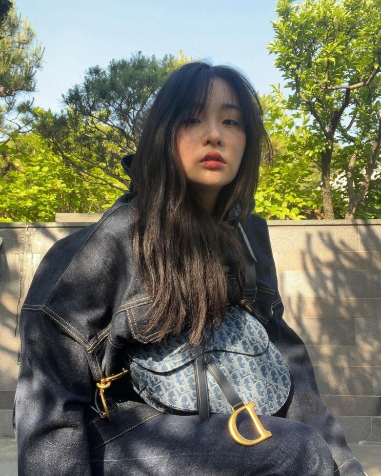  30대 여자 명품백으로 변치 않는 매력을 보여주는 명품 브랜드 디올의 새들백 여성 가방 가격은 ? w. 김민하