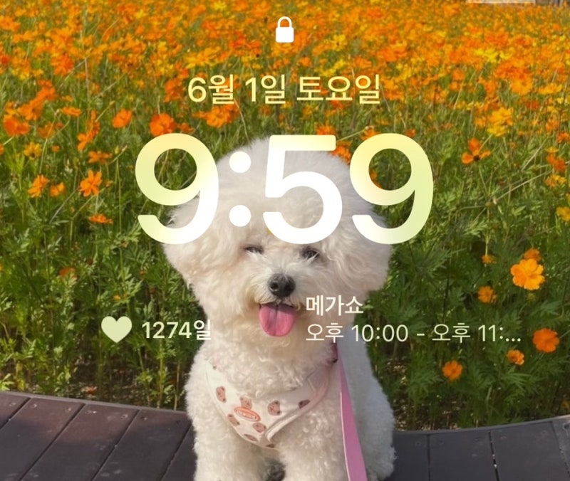 아이폰 커플 캘린더 어플 추천 타임트리 사용 후기 일정 공유 위젯설정하기