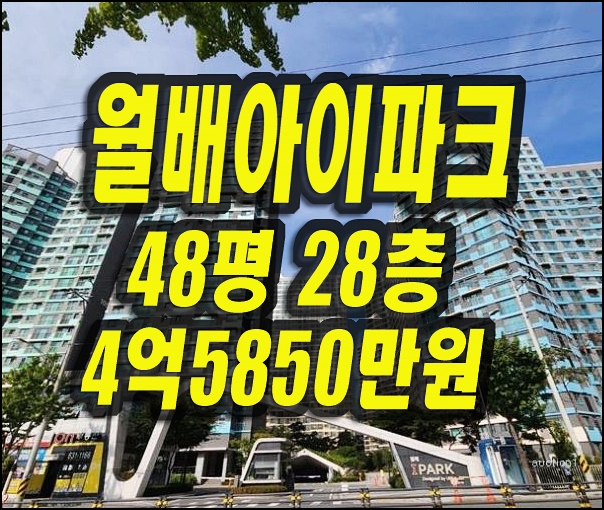  달서구아파트경매 유천동 대구월배아이파크