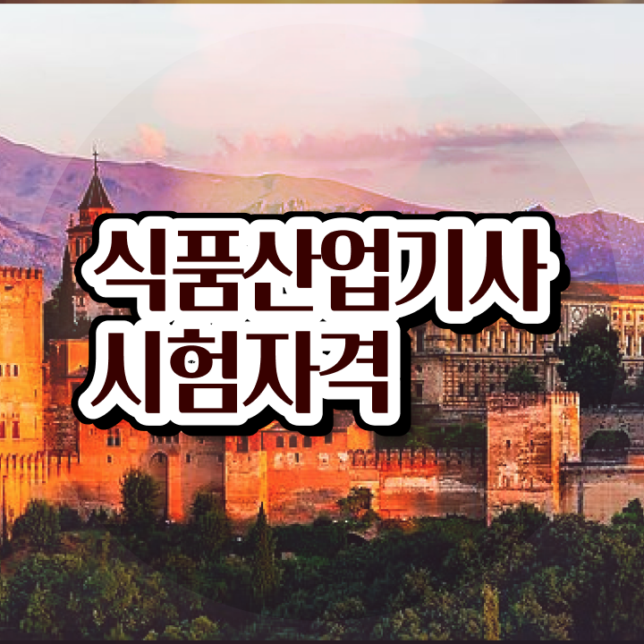  식품산업기사 실기 식품산업기사 시험자격 온라인 수업으로 5달만에 성공한 노하우