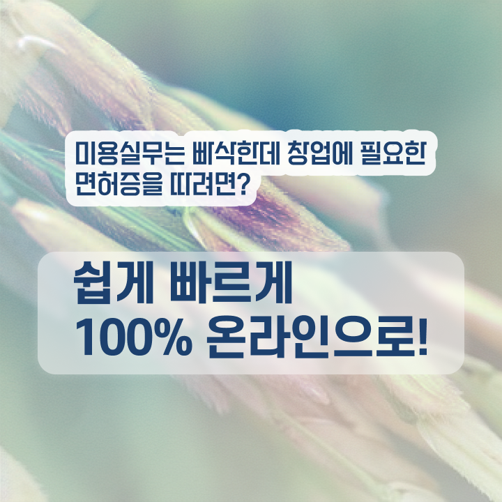  이용사 미용사 , 미용면허증 반 년만에 딸 수 있었던 팁 알려드릴께요