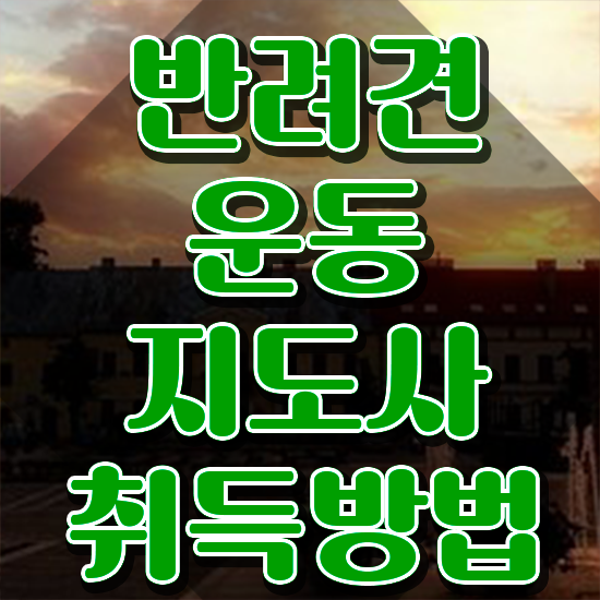  동물관리사 , 반려견운동지도사 쉽고 빠르게 공부한 방법
