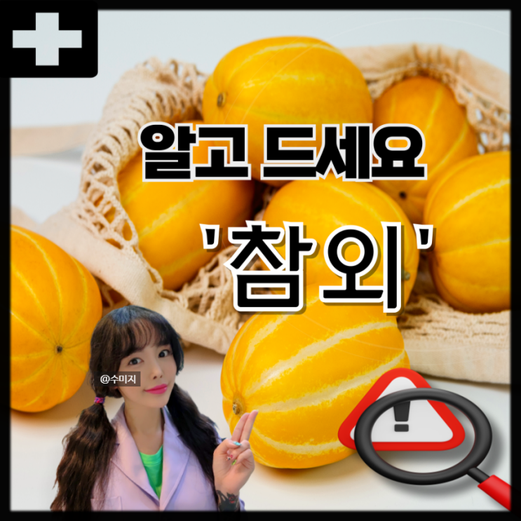  참외 효능 설사 참외 알레르기 참외껍질 효능