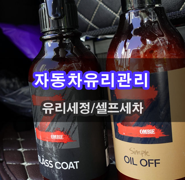  셀프세차 자동차 유리관리 방법 좀비카케어 패키지 발수코팅까지~~
