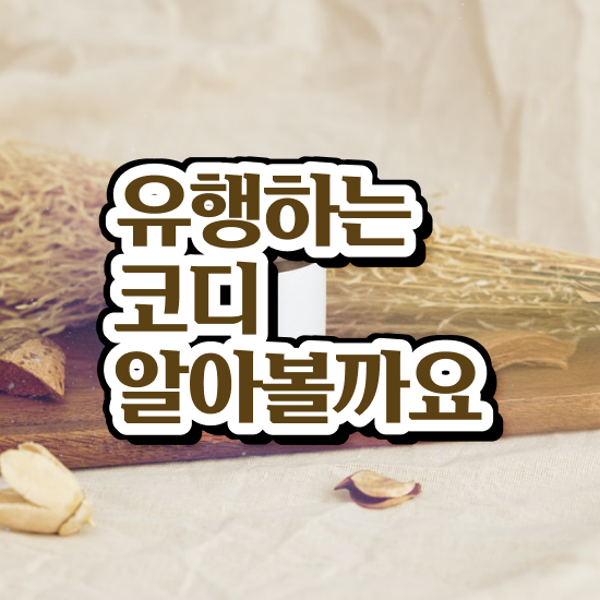  20일 만에 퍼스널컬러컨설턴트자격증 합격한 후기