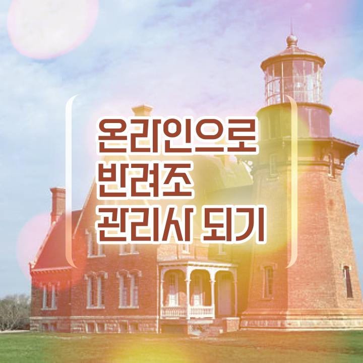 코뉴어앵무새가격 , 반려조관리사 자격증 준비한 과정 요약