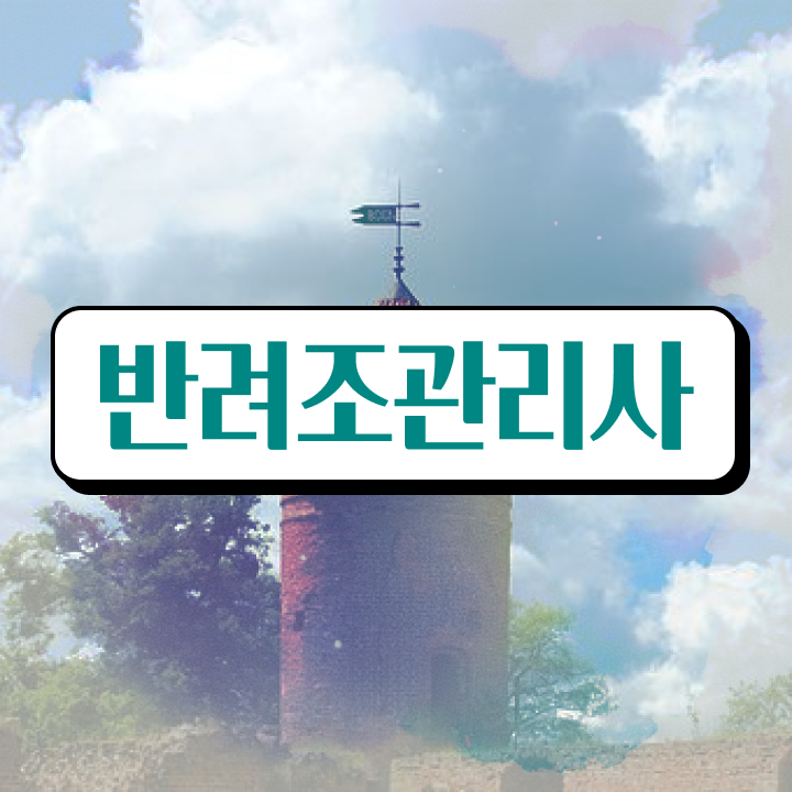  애완앵무새종류 , 반려조관리사 자격증 비용없이 온라인으로 준비한 방법 짚어드려요