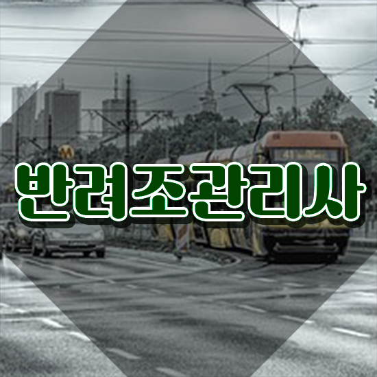  앵무새 키우기 , 반려조관리사 자격증 한달 만에 준비한 과정 , 활용 방법