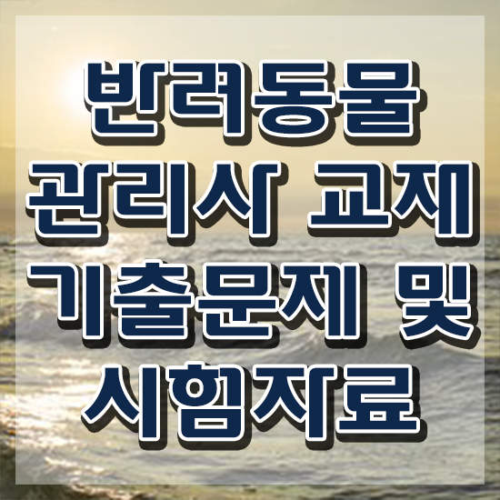  반려동물종합관리사 , 반려동물관리사 자격증 온라인 교육으로 준비한 과정 및 취업