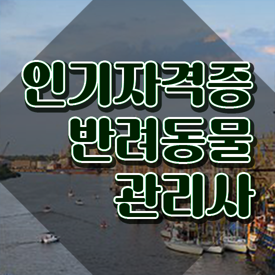  반려동물 영양사 , 반려동물관리사 자격증 준비한 방법 공유드려요
