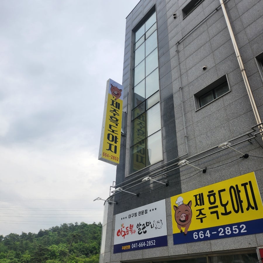 제주흑도야지 사진 2
