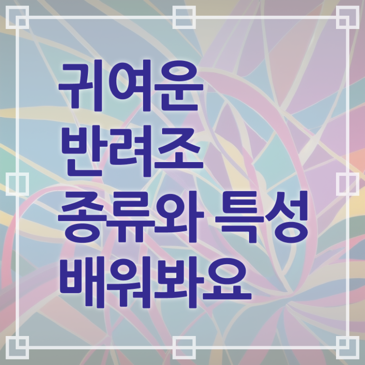  앵무새 , 반려조관리사 자격증 취득한 과정 공유드려요