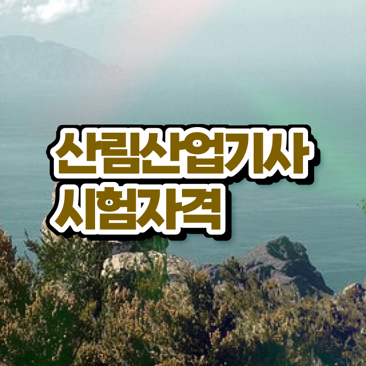  산림산업기사 필기 과목 산림산업기사 시험응시조건 온라인 과정으로 5개월 만에 끝낸 후기