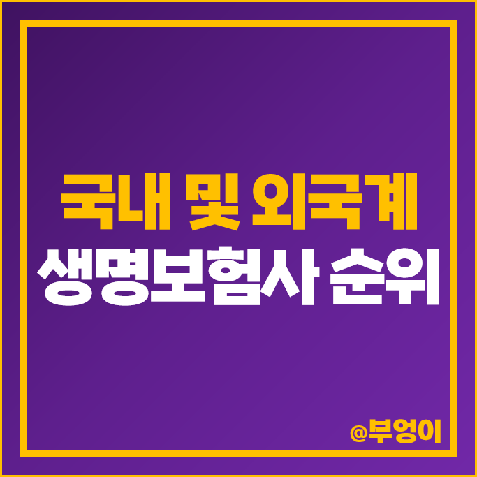 생명보험사 순위 생명 외국계 보험회사 종류 자산 부채 자본 비교 생명보험사 순위 생명 외국계 보험회사 종류 자산 부채 자본 비교