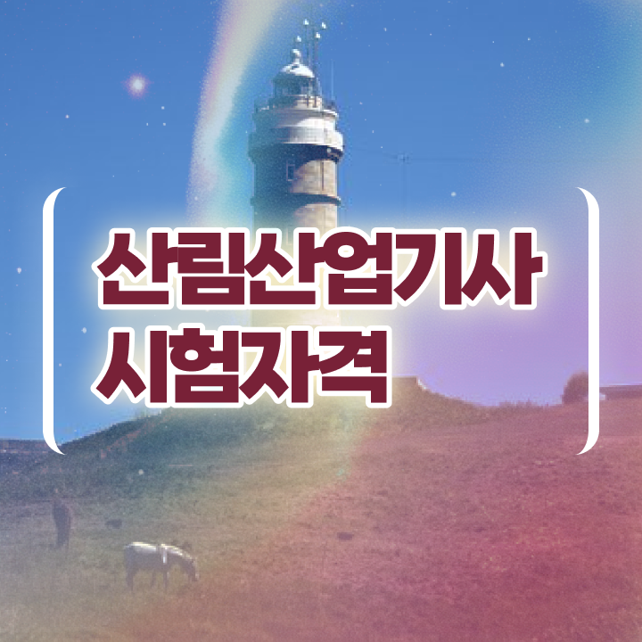  산림산업기사 자격증 산림산업기사 취득자격 학점은행제로 편하게 완료한 과정