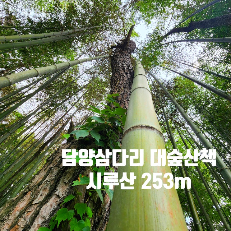  〔전남담양〕담양 삼다리 대나무 숲 산책로-담양 시루산(253m)-시루산 안내도-대나무 숲을 걷고 편하게 다녀올 수 있는 산