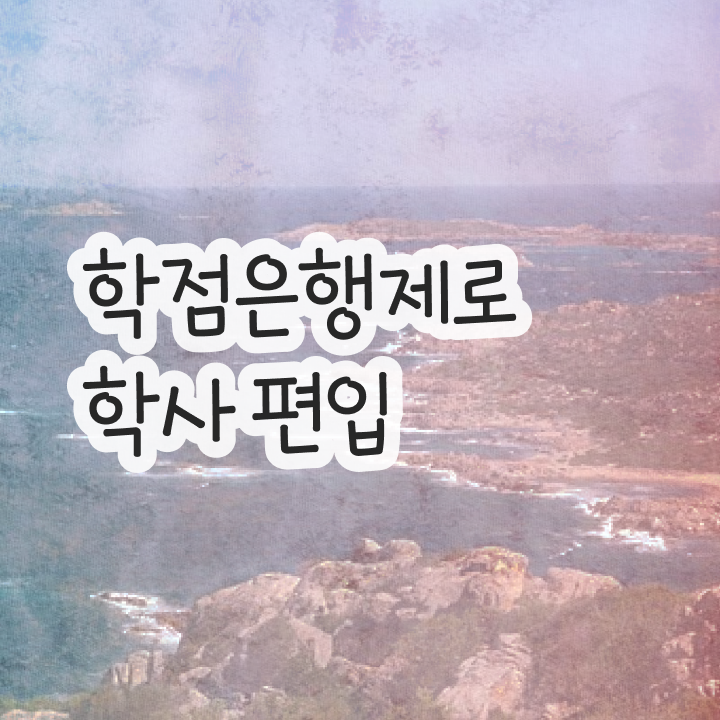  학점은행제 과 , 학은제 플래너 가 옆에 있어서 목표로하던 학사 학위 얻었어요