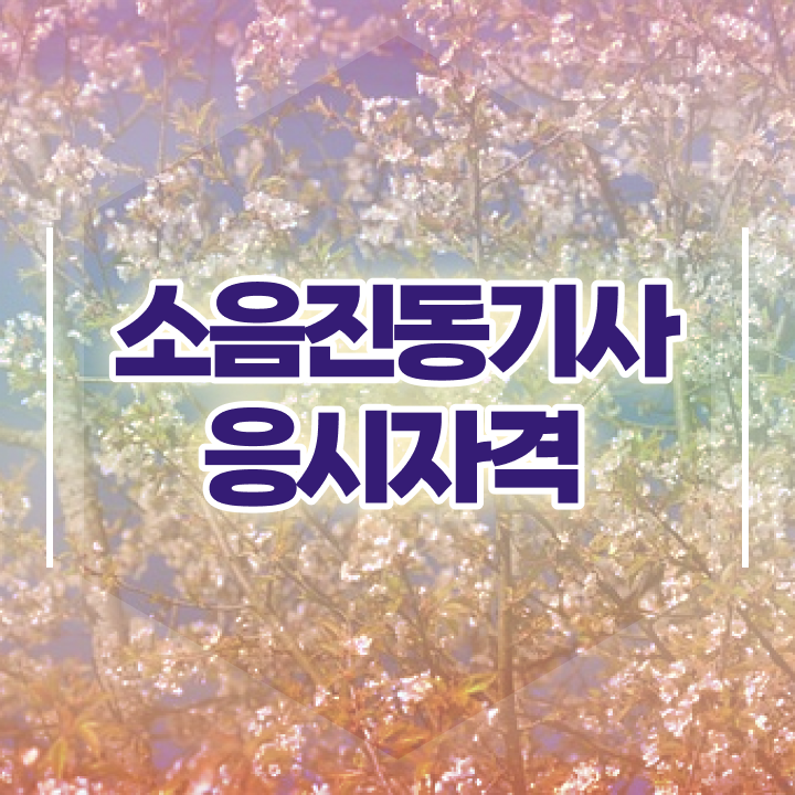  소음진동기사 취득자격 온라인으로 4개월 만에 끝낸 팁