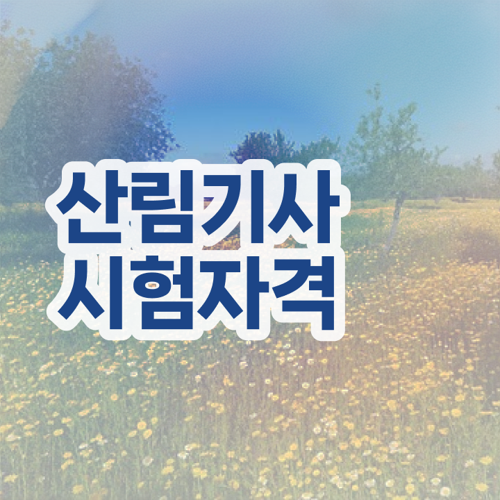  산림기사 학점은행제 산림기사 응시자격 집에서 온라인으로 반 년만에 완료한 방법