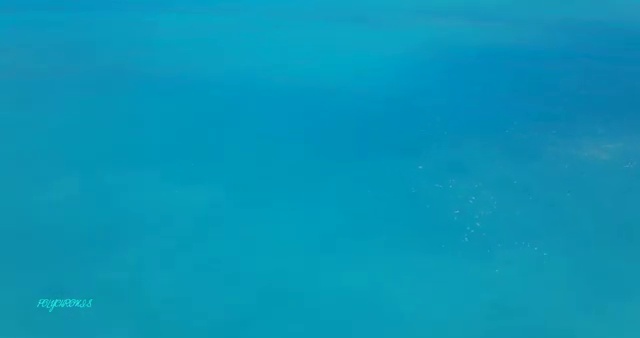  병원코디네이터 CS , 병원코디네이터 자격증 20일 만에 학습한 후기 여기만 보세요