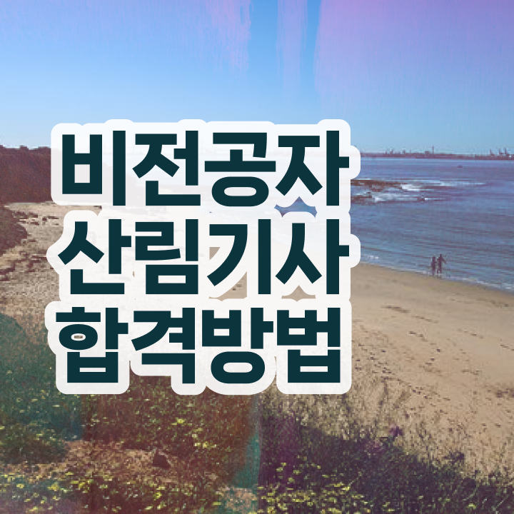  산림기사 필기 접수 산림기사 응시조건 독학으로 1학기에 성공한 방법
