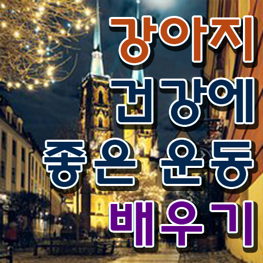  40대 경단녀 , 반려견운동지도사 온라인 수업만으로 쉽고 빠르게 준비했던 노하우