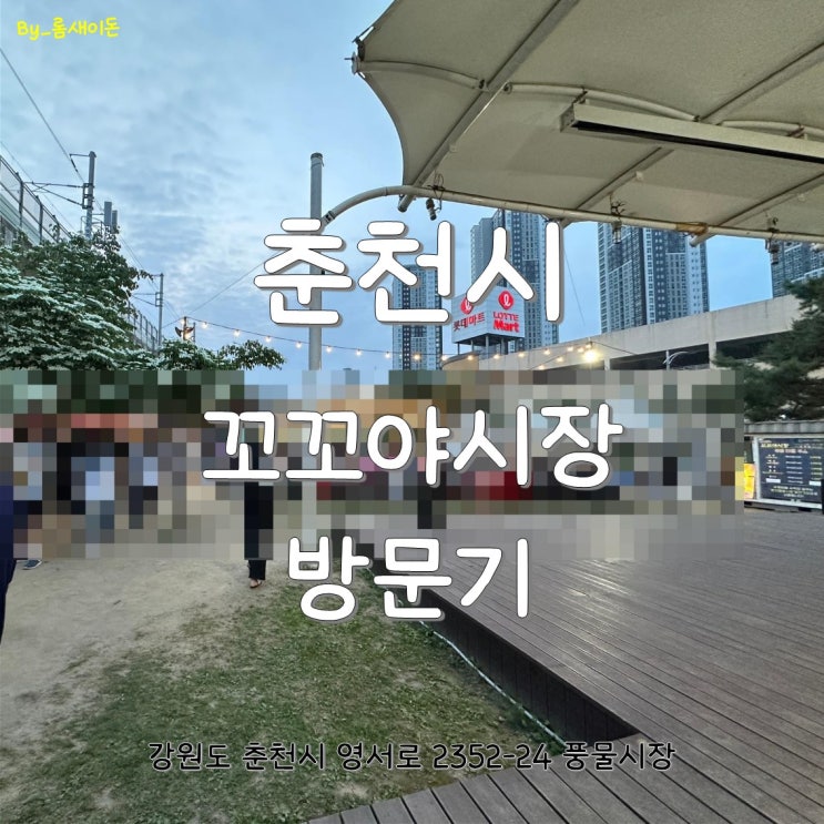  춘천 풍물시장 꼬꼬야시장 방문기