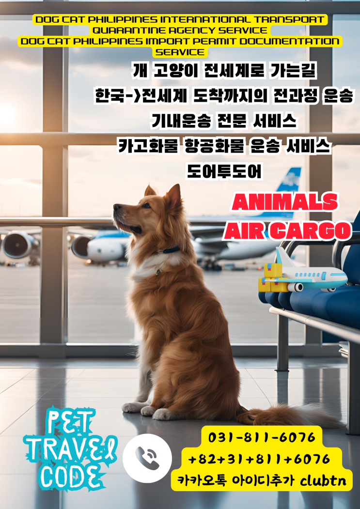  ️ 해외 출국 시 반려동물 운송 가이드 ️ 강아지 핸드캐리운송 고양이핸드캐리운송 강아지카고운송 고양이카고운송 강아지검역서류 고양이검역서류 대형견해외운송 강아지기내운송서비스