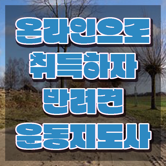  50대여자취업 , 반려견운동지도사 혼자서 독학으로 직장인도 편하게 준비했던 과정
