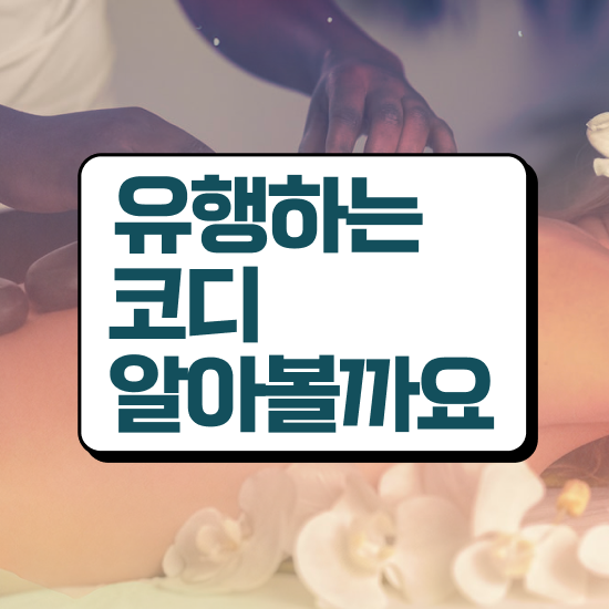  퍼스널 컬러 테스트 결과 , 퍼스널컬러컨설턴트 온라인으로 완료한 과정