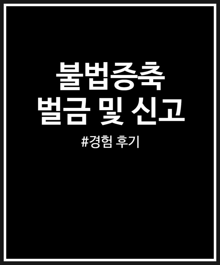  불법증축 벌금 및 신고 그리고 해결방법 3가지 (550만원 납부 후기)