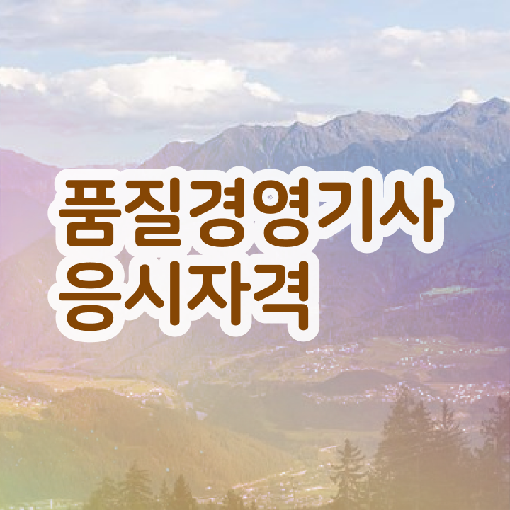  배극윤 품질경영기사 품질경영기사 자격요건 독학으로 간단하게 완료한 후기