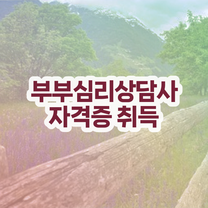  부부심리상담사교육지원센터 , 부부심리상담사 자격증 20일 만에 합격한 후기 요약