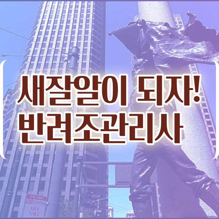  앵무새 수명 , 반려조관리사 자격증 2주 만에 합격한 전략 요약