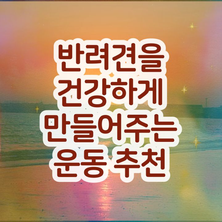  경단녀 재취업 , 구체적인 반려견운동지도사자격증 준비한 방법 체크