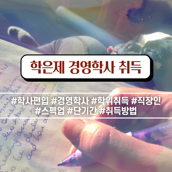  경영학과 소개 , 경영학 실무경력 없어도 손쉽게 완료한 노하우