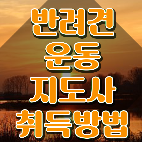  40대취업 , 반려견운동지도사 합격 후기 , 빠르게 따는 법