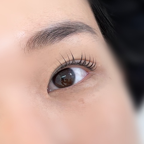  쌍촌동속눈썹 관리 잘하는 달리뷰티 광주점 속눈썹펌 받았어요
