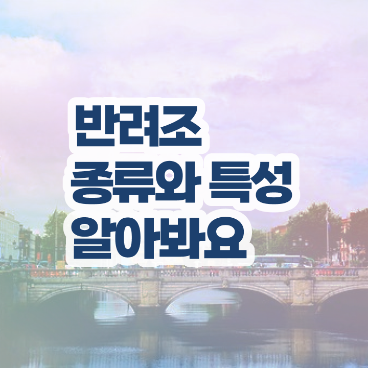  시나몬코뉴어앵무새 , 반려조관리사 자격증 시험준비 최신정보 공유
