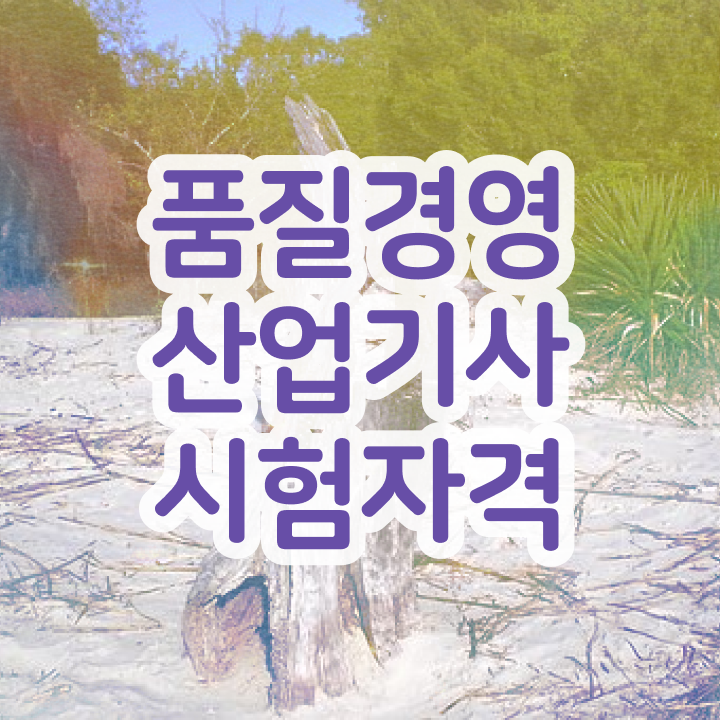  품질경영산업기사 필기 준비 품질경영산업기사 응시조건 온라인 수업으로 쉽고 빠르게 준비한 팁
