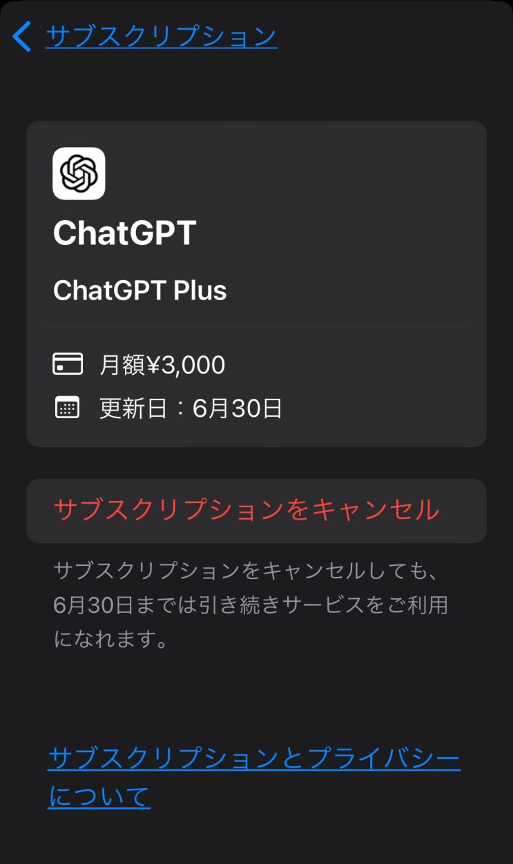  AI시대의 흐름에 맞게 Chat GPT 유료결제